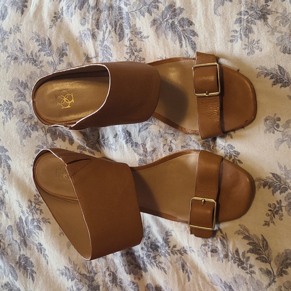 Ann Taylor shoes